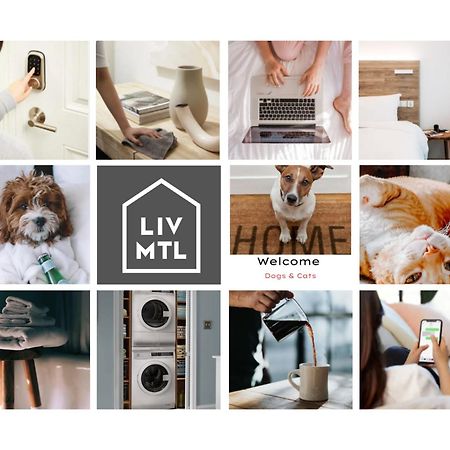 Liv Mtl Avenue Apart otel Montréal Dış mekan fotoğraf